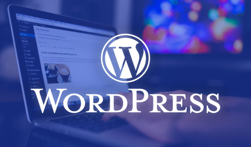 Website development on Wordpress in Kiev, Ukraine